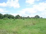 32494p155.jpg