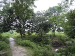 24660DSC00882.JPG
