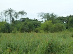 55129Berau (444).JPG