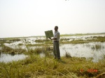 6630gt097-wetlands-1.jpg