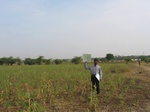 9401gt78a_mixedcrops.gif