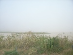 9139RIMG0220.JPG