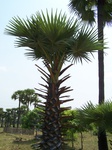 17414100_2100.JPG