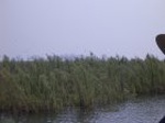 1389R0015144_small.jpg