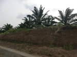 50738CIMG1367.JPG