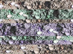 11671vp-069-Irrigated cotton-a.jpg