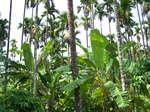 17497100_2752.JPG