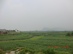 32652CIMG1771.JPG
