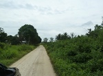 55007Berau (306).JPG