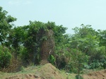 51523P1000685.JPG