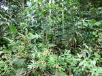 46440CIMG0729.JPG