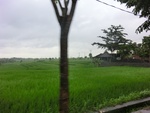 30659CIMG0475.JPG