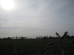 14269IMG_4609.JPG