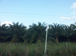 5871100_1552.JPG