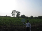 9309gt033b-cropland-rainfed-mixed-crops.gif