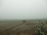 40091CIMG9156.JPG