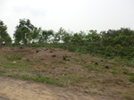 50599CIMG1228.JPG