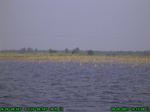 1506R0015202_tag.jpg