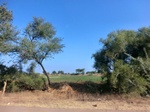 56245CIMG6984.JPG