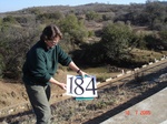 10975gt-184-wetland-seasonal-moist-stream-bed-02.jpg