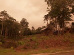 54853Berau (141).JPG