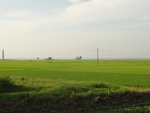 26103DSC01130.JPG