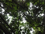 46825DSC02163.JPG