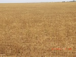 29381CIMG0615.JPG
