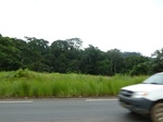 25249P1020092.JPG