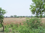 518123042008(2).JPG