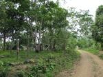 32094IMG_5592.JPG
