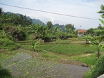 15190IMG_4010.JPG