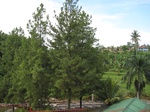 16442IMG_5227.JPG