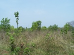 17424100_2110.JPG