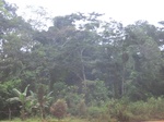 48637CIMG4974.JPG