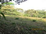 30027IMG_5372.JPG