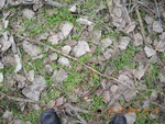 9474DSCN0921.JPG