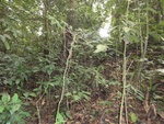 46859DSC02206.JPG