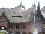 16534IMG_5320.JPG