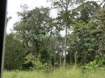 49610CIMG5947.JPG