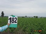 126640182a-rainfed-agriculture-cotton-dominant-millet-soyabean.gif
