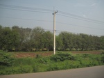 28291IMG_5082.JPG