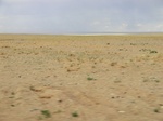 38502CIMG0344.JPG