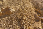 28717P1010735-1.JPG