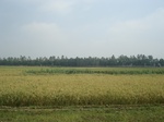 21830DSC08408.JPG