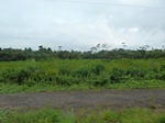 25818P1020237.JPG