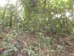 46860DSC02207.JPG