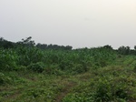 45329CIMG2414.JPG