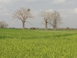 26746DSC00968.JPG