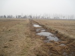 8534IMG_0360.JPG